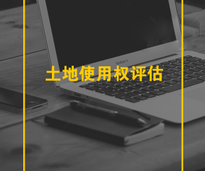 土地使用权评估